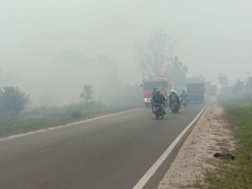  Kabut Asap Kembali Menyaput, Pemko Perlu Ambil Kebijakan