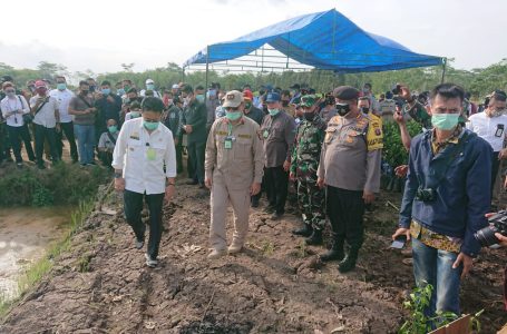 Mentan RI Pantau Kesiapan Lokasi Food Estate Pulpis