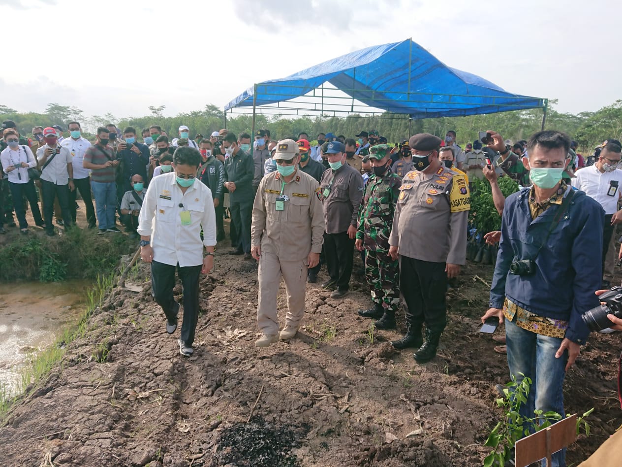  Mentan RI Pantau Kesiapan Lokasi Food Estate Pulpis