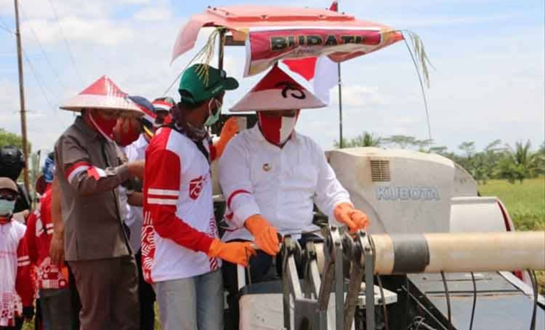  Sektor Pertanian Paling Berperan Pulihkan Ekonomi Masyarakat