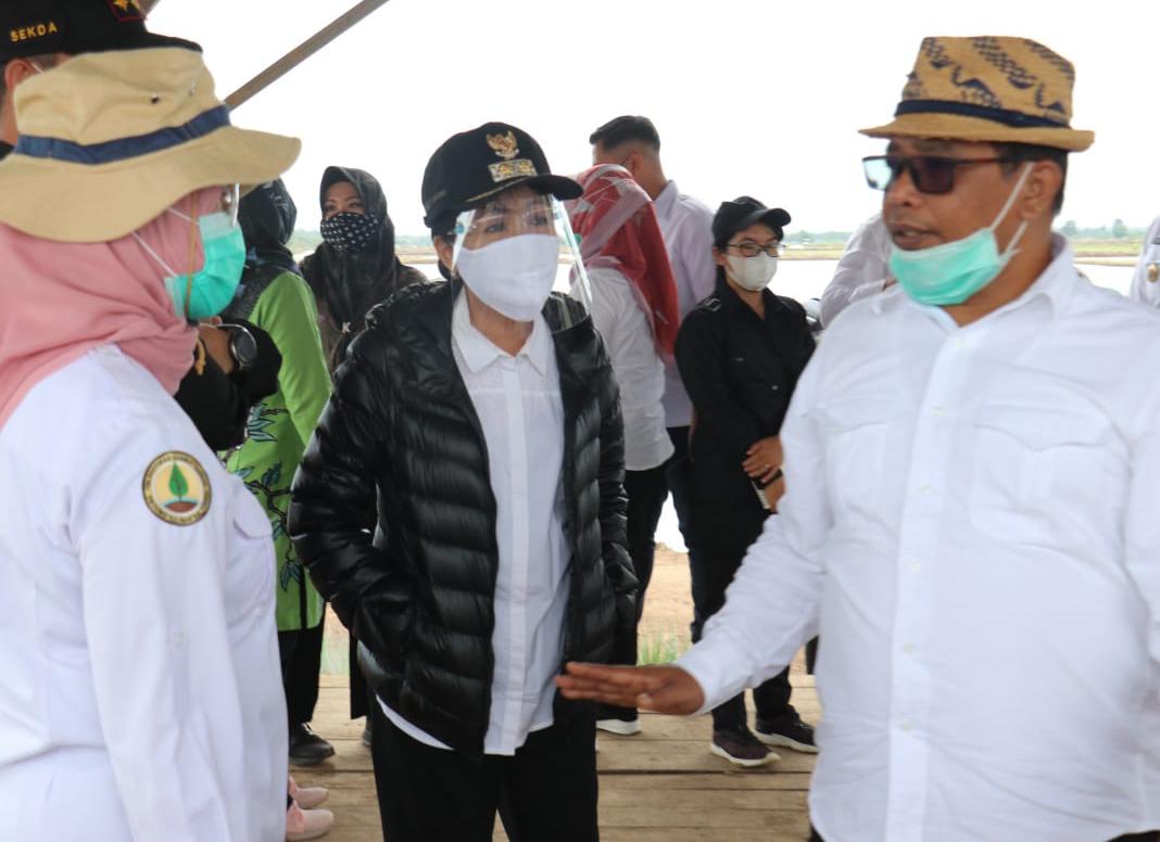  Plt Bupati Pulpis Dampingi Kunker Plt Gubernur Kalteng ke Lokasi Food Estate Pulpis