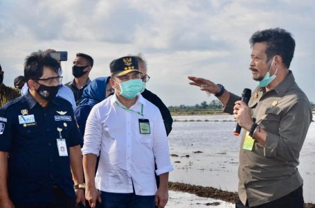 SYL Minta Dibuatkan Saung Ditengah Lokasi Tanam Presiden RI