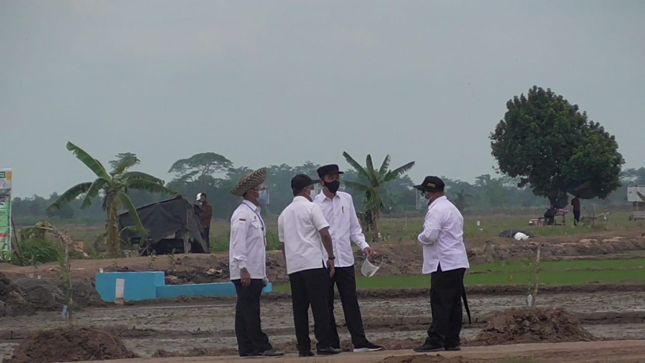 Jokowi Pastikan Program Food Estate Pulpis Dimulai