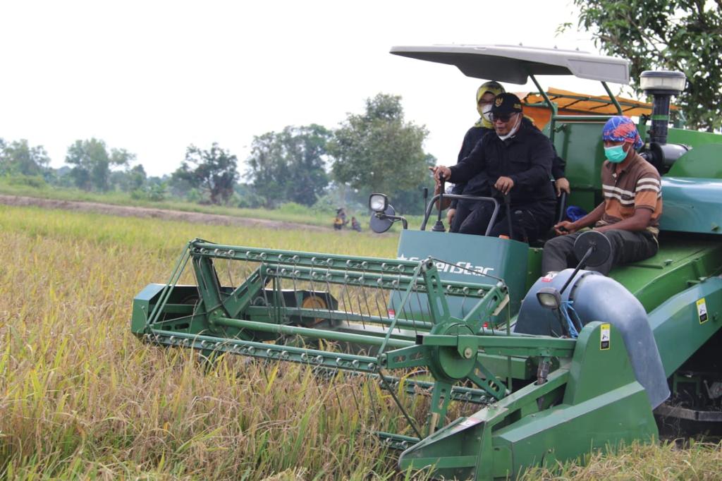  Plt. Gubernur Panen Raya Sekaligus Berdialog Dengan Masyarakat Desa Petak Batuah