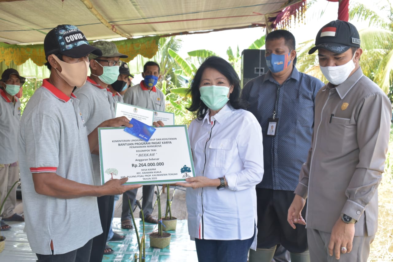  Selain Tanam Mangrove, Taty Sarahkan Bantuan Pemulihan Ekonomi Sei Pudak