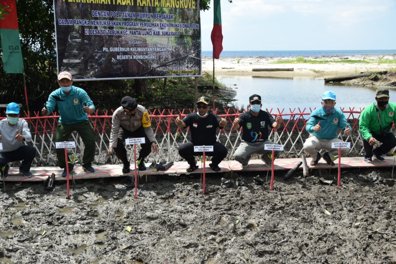  Hasil Pohon Mangrove Diharapkan Jadi Produk Bernilai Ekonomi Tinggi