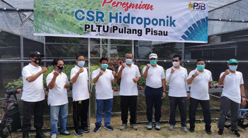  PLTU Pulpis Salurkan CSR Tanaman Hidroponik di Desa Mintin