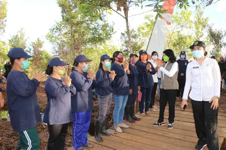  Plt Bupati Pulpis Tinjau KUPS LPHD Kahayan Tengah dan Banama Tingang