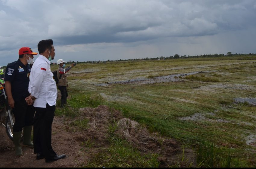  Syahrul Yasin Limpo : Progres Lahan Food Estate Cukup Bagus, Awal Januari Mulai Penanaman
