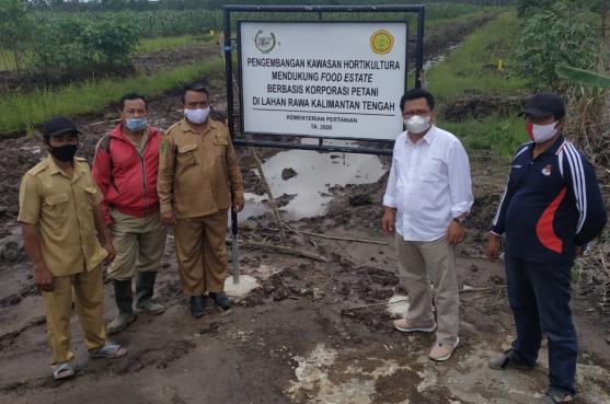  DPRD Pulpis Dukung Wisata Holtikultura Desa Sidodadi