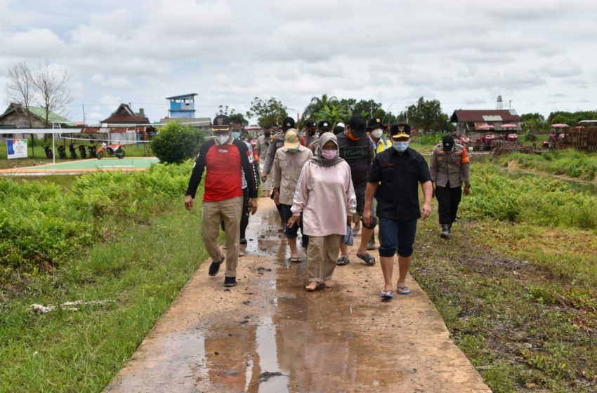  Gubernur Kalteng Optimis Program Food Estate Berhasil