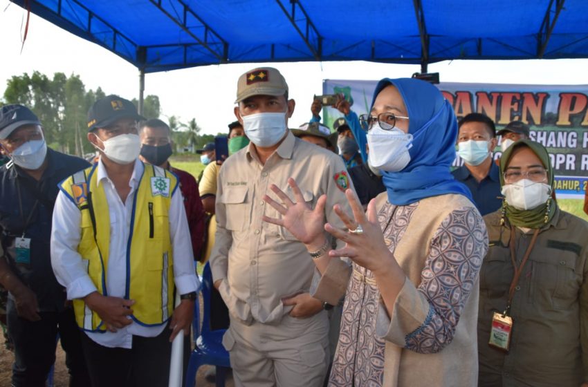  Komisi IV DPR RI Berharap Food Estate Tidak Hanya Menghasilkan Beras, Tapi Mampu Sejahterakan Masyarakat