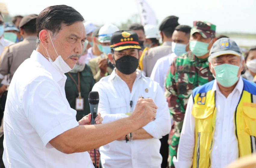  Sejumlah Mentri dan KSP Pantau Food Estate