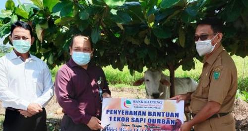  Bank Kalteng Cabang Pulpis Sumbang Hewan Kurban di Masjid Agung Arraudhah