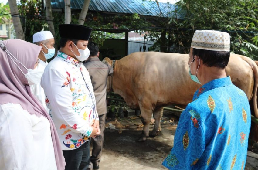  Pemprov Kalteng Salurkan 357 Ekor Sapi Kurban