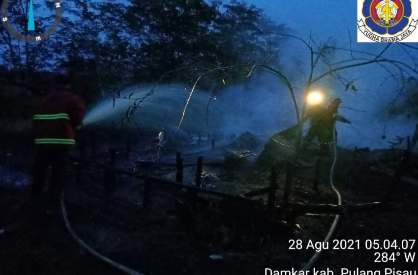  Ditinggal Keluar Kota, Rumah Warga Hanjak Maju Pulpis Dilahap Api