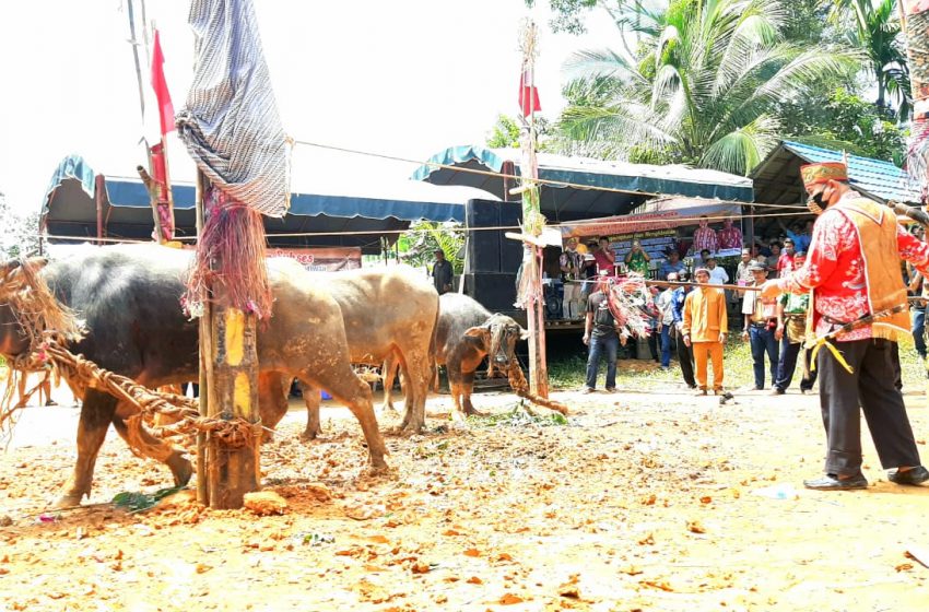  Tiwah” Ritual Suku Dayak yang Terus Diaktualisasikan