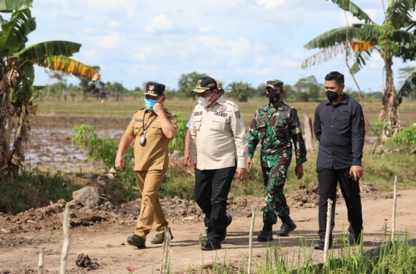  Tinjau Program Food Estate. Gubernur : Kalteng Tanah Berkah, Siap Melahirkan Masa Depan Ekonomi Masyarakat yang Sejahtera