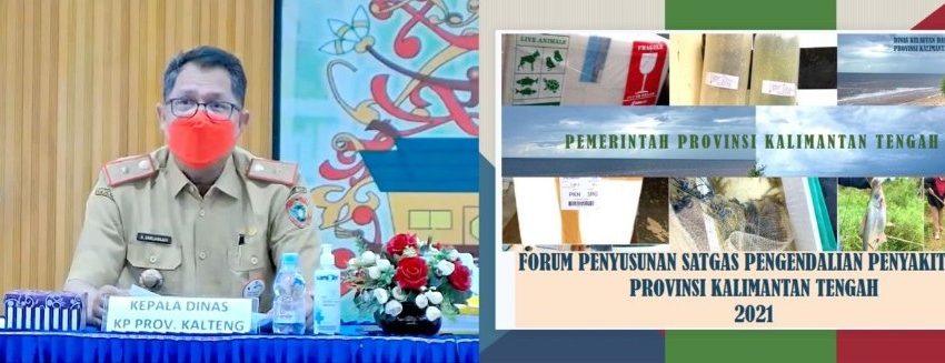  Dislutkan Kalteng Bentuk Satgas, Cegah dan Kendalikan Wabah Penyakit Ikan