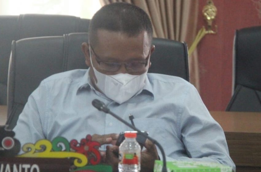  Ayoo.. Bercocok Tanam Sebagai Ketahanan Pangan Alternatif