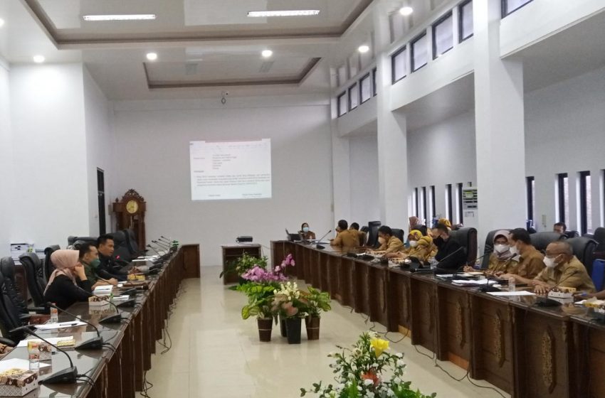 Parmana Pimpin RDP Soal BPJS, Hasilkan Empat Poin Kesimpulan 