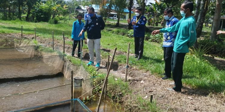  Pemprov Kalteng akan Bangun Kampung Budidaya Ikan di Pulpis