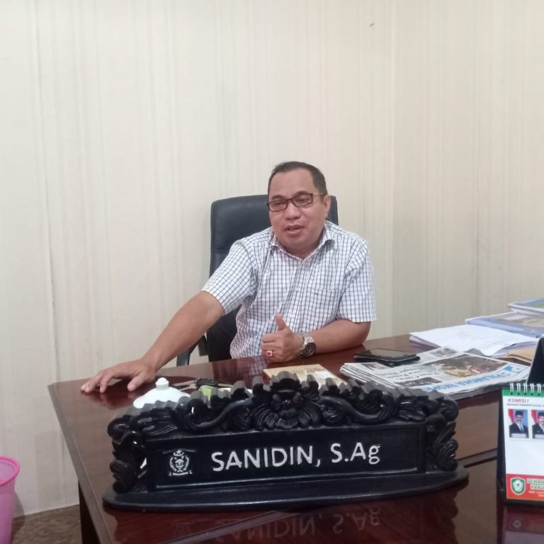 Sanidin, S.Ag