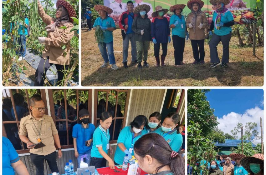  Kelestarian Hutan Mangrove Perlu Peran Masyarakat