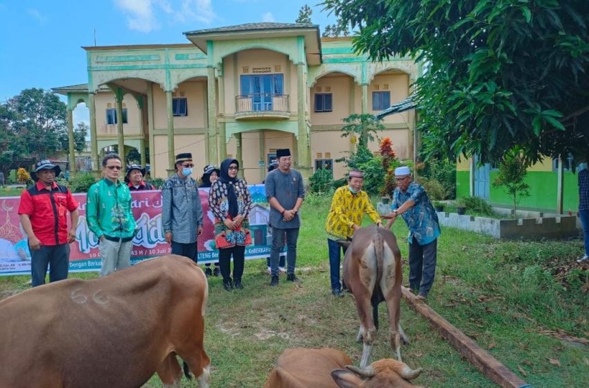  Gubernur Salurkan 77 Ekor Sapi ke Kapuas 