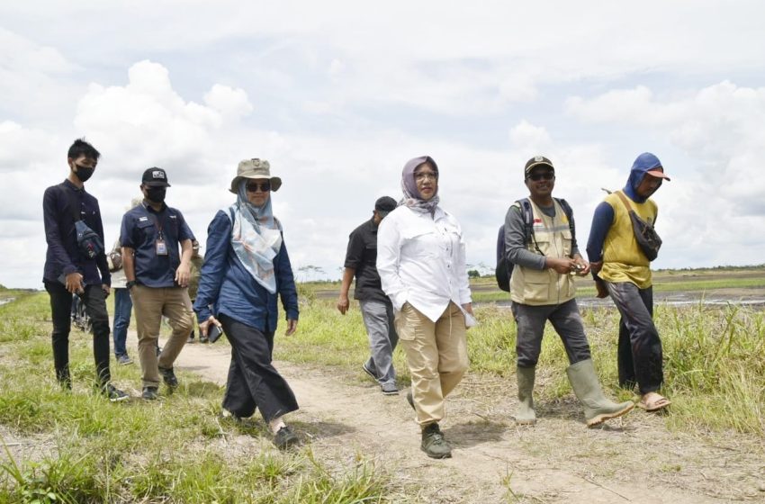  Sinergitas Kementerian PUPR dan Pemerintah Daerah Bangkitkan Semangat Petani Bercocok Tanam di Food Estate