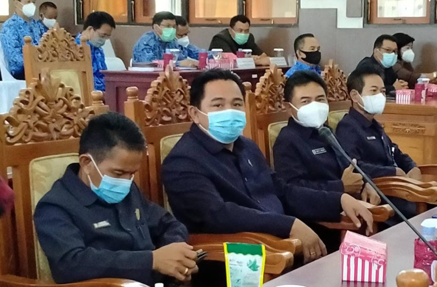  Manfaatkan Pekarangan Rumah untuk Berkebun