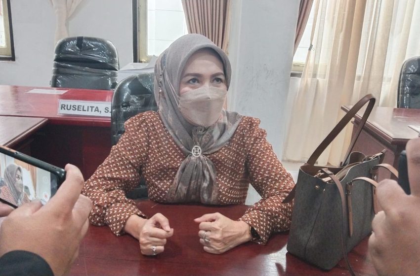 Anggota Komisi C DPRD Palangka Raya, Norhaini