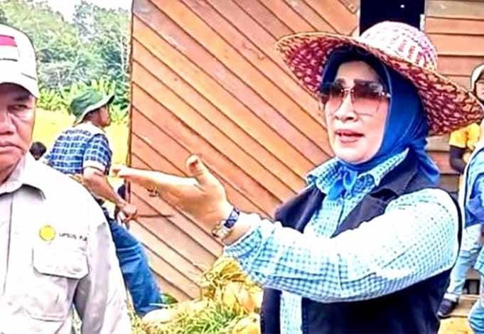  Dewan Apresiasi Poktan Matingkun Lemai