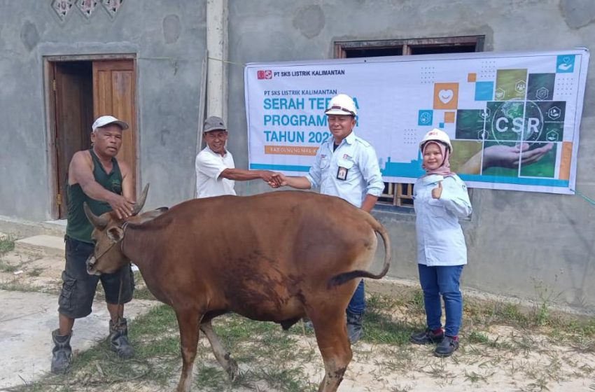  Idul Adha tiba, PT SLK Serahkan Hewan Qurban