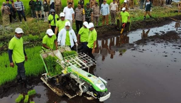  Pemko Kembangkan Pertanian Padi Modern
