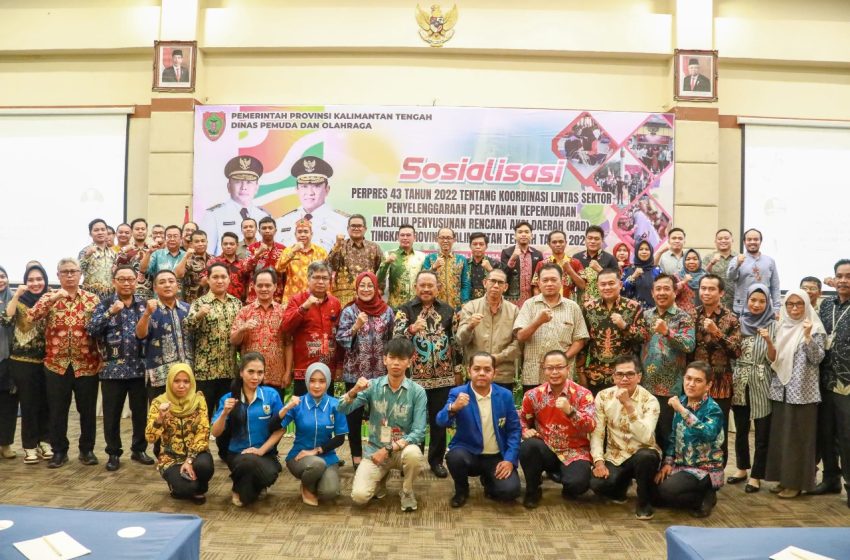  Pemuda Sebagai Perpanjangan Tangan Pemerintah Untuk Meningkatkan dan Mengembangkan Sumber Daya Pemuda Dari Berbagai Perspektif