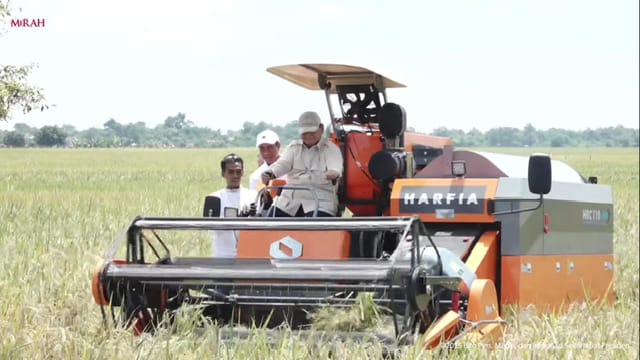  Dukung Swasembada Pangan Nasional, Gubernur Panen Padi Raya di Pandih Batu