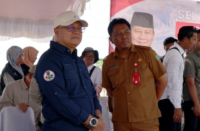  Sinergi Pusat dan Daerah Perkuat Ketahanan Pangan Nasional